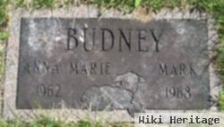 Mark Budney
