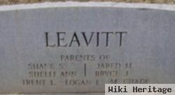 Mishael S Leavitt