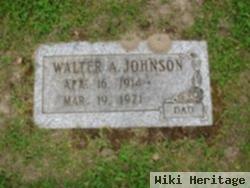 Walter A Johnson