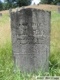 Ann Hill