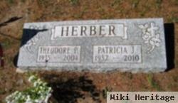 Theodore P Herber