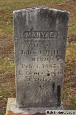 Mary Elizabeth Ferrin Rowe