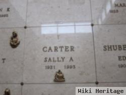 Sally A Carter