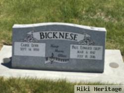 Paul Edward "skip" Bicknese