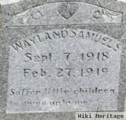 Wayland Samuels