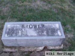 Narcissa L. Haynes Brower