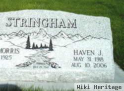 Haven J Stringham