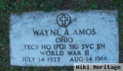 Wayne Amos