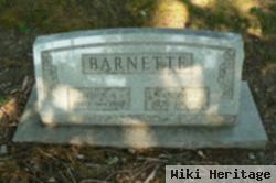 Nannie Elizabeth Ford Barnette