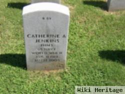 Catherine Amis Jenkins