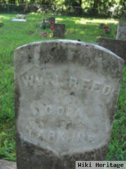 William J. Reed