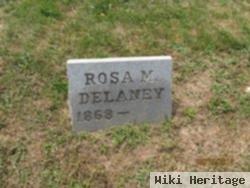 Rosa M Delaney