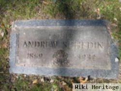 Andrew Schedin