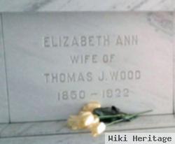 Elizabeth Ann King Wood