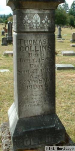 Thomas H Collins