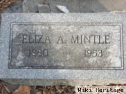 Eliza Ann Parker Mintle