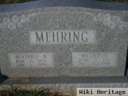 Walter S. Mehring