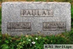 Sigmund Paulat