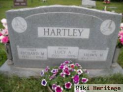 Lucy A Hartley