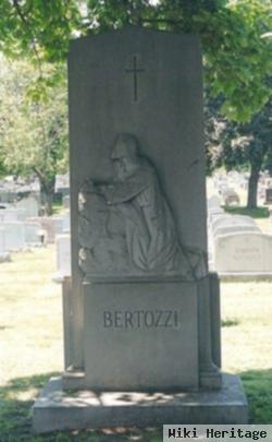 Edward J Bertozzi