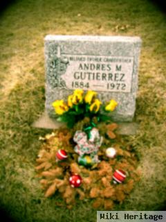 Andres M Gutierrez