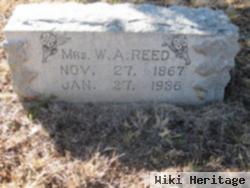 Mrs W. A. Reed