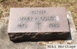 Mary A Paschic Golob