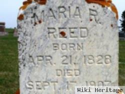 Maria R. Reed