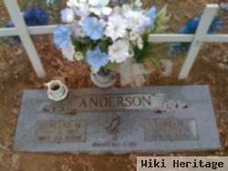 Darlene Mae Munter Anderson