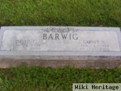 David F. Barwig