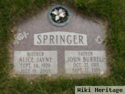 Alice Jayne Springer