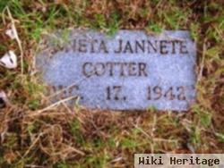 Anneta Jannete Cotter