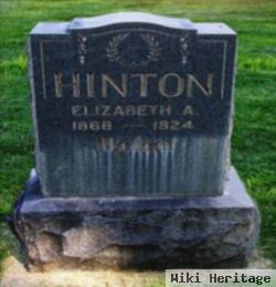 Elizabeth Allen Walker Hinton