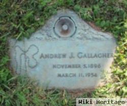 Andrew J Gallagher