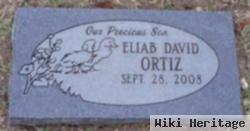 Eliab David Ortiz