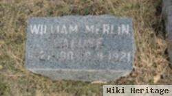 William Merlin Lafuse