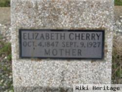 Elizabeth Anne Houcke Cherry