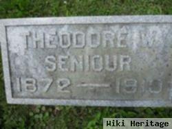 Theodore W. Seniour