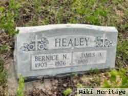 James A Healey