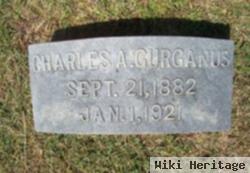 Charles A Gurganus