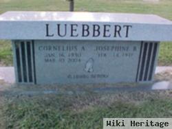 Cornelius A. Luebbert