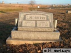 Joseph E. Goldsberry