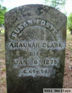 Susan Foster Clark