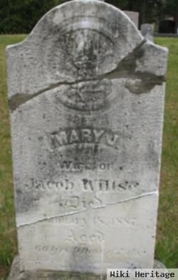 Mary Jane Frost Wiltse