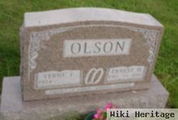 Ferne E Olson