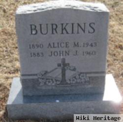 Alice Mae Hollingshade Burkins