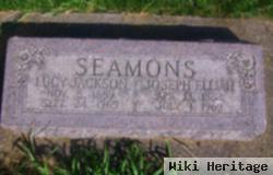 Joseph Elijah Seamons