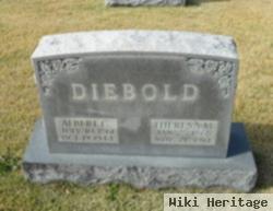 Therese M Diebold