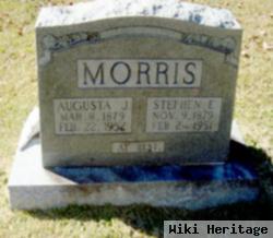 Stephen E Morris