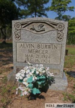 Alvin Burwin Mercer